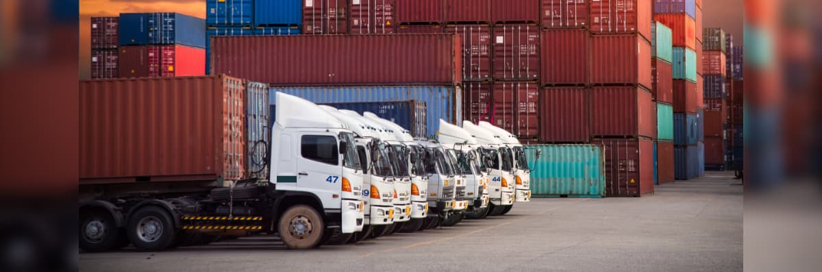 Learn how to reduce freight costs without compromising on reliable service.